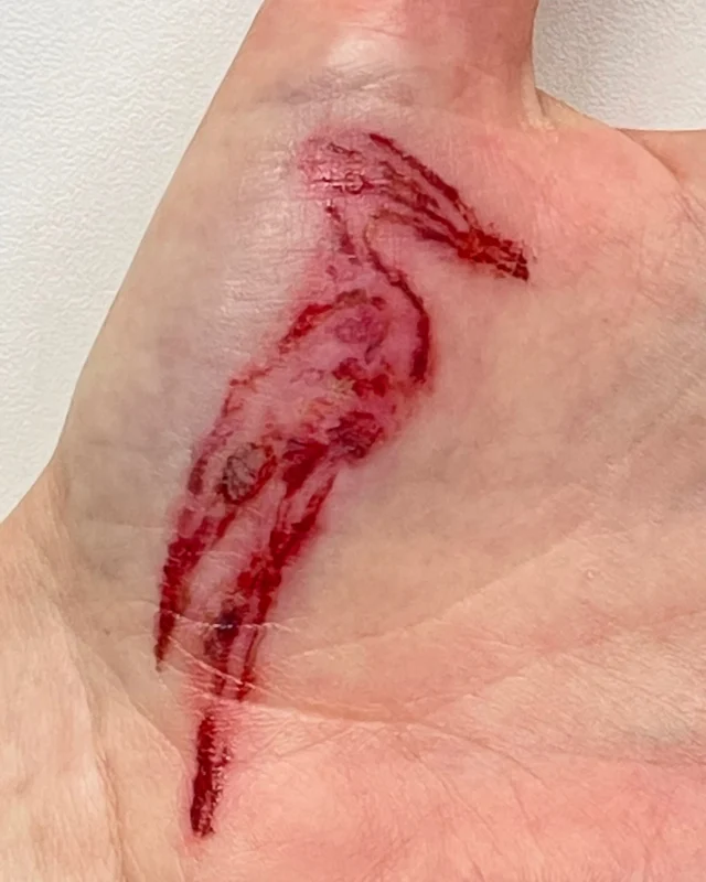 ❗️Prosthetic Make-up❗️
•
„Wheel of Time“ 2023
@amazonprime 
•
Test footage of a custom made heron shaped burn/ branding transfer tattoo (fresh and old) we created for hair and make-up designer @davinajl for the series @wheel.of.time.series 
•
Make up effects by 
@twilightcreations 
Tamar Aviv & Jörn Seifert,
Heron design by Nick Dudman
•
Thank you Davina for involving us.
•
#wheeloftime #prosthetics #silicone #burnwound #amazonprimevideo #realisticarts #painting🎨 #scarification #mouldmaking #sculpting #hyperrealism #brandingtattoos #herontattoo #twilightcreations #scarred #setlife🎬 #swelling 
#specialmakeupeffects #specialeffectmakeup #fxmakeupartist #sfxwounds #sfxgore #sfxmakeupart #sfxmakeuptutorial #makeupeffect #specialmakeupfx #specialmakeup #prostheticlimbs