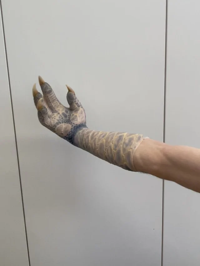 ❗️ Prosthetic Make-up ❗️•„Club der Dinosaurier”@clubderdinosaurierseite •The silicone gloves of character Rickin its final stage. Movement test.The hands were life casted, the plaster copies then scanned, the cores digitally reduced and split, the final cores then got printed and after the sculpt was done, we could mould each pair.•Make up effects design by @twilightcreations Concept Art and creature design byJörn Seifert and @jetblackbug Prosthetic gloves sculpted by @gianmariacocchi Mold making by @dennis.penkov @teptec_daniel.ritt and @komplemagnus 3d design, printing and nails by @teptec_daniel.ritt Silicone running by @teptec_daniel.ritt Painted by @jordi_morera_studio maintenance on set by @transferbrows , @julianhutcheson @julietteruetz @2nd.skin.transfer_art Supervised by Jörn Seifert •Thank you to our gorgeous team at TC for all your efforts getting this show running! 🙏🏼•@syrreal_entertainment @eitelsonnenschein_film @kinglutz75 •#derclubderdinosaurier #prosthetics #silicone #dino #dinosaur #realisticart #painting🎨 #reptile #mouldmaking #sculpting #hyperrealism #zdfneo #dinomakeup #reptiloids #twilightcreations #reptileappliances #setlife🎬 #prostheticdesigner #specialmakeupeffects #specialeffectmakeup #fxmakeupartist #sfxwounds #sfxgore #sfxmakeupart #sfxmakeuptutorial #makeupeffect #specialmakeupfx #specialmakeup
